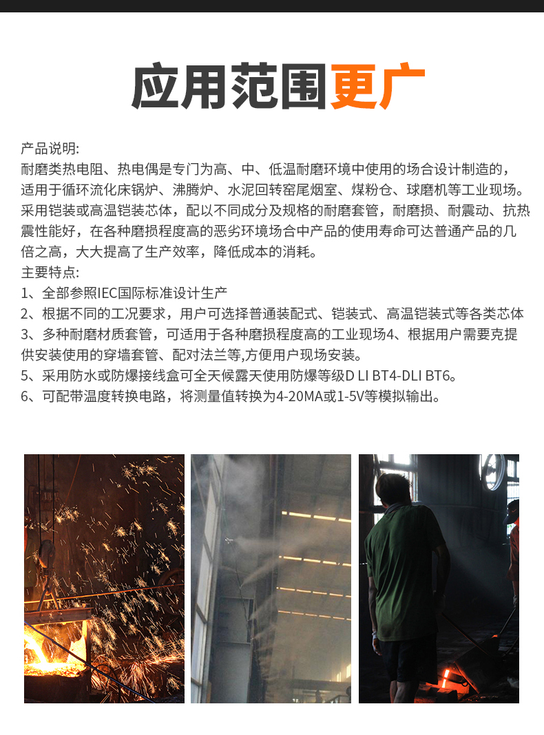 WRNM-131耐磨熱電偶15_http://m.fangxinge.com.cn_溫度儀表_第6張